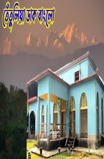 তেঁতুলিয়া ডাক-বাংলো