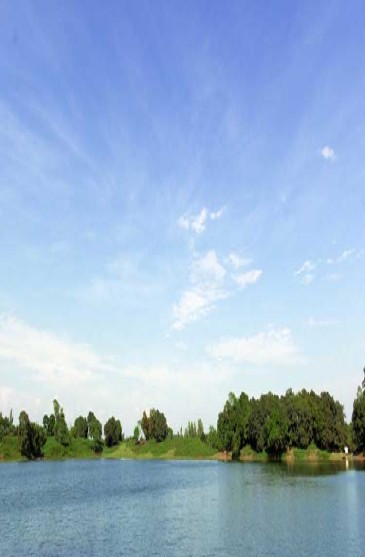 মহারাজার দিঘী, পঞ্চগড়